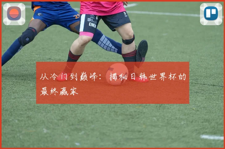 从冷门到巅峰：揭秘日韩世界杯的最终赢家