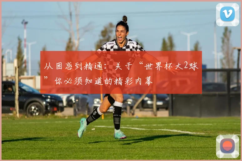 从困惑到精通：关于“世界杯大2球”你必须知道的精彩内幕